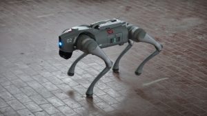 cane robot